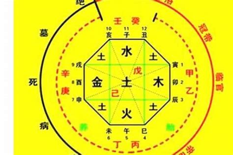 天羅地網八字|解析八字神煞天罗地网 – 何为四柱八字天罗地网